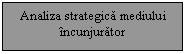 Text Box: Analiza strategica mediului ncunjurator